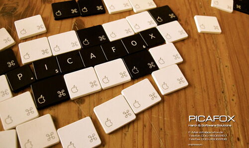 Website-Erstellung für Picafox